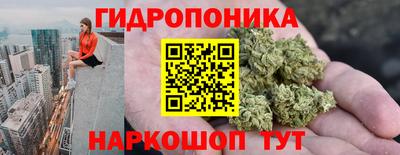 ПСИЛОЦИБИНОВЫЕ ГРИБЫ Лесосибирск
