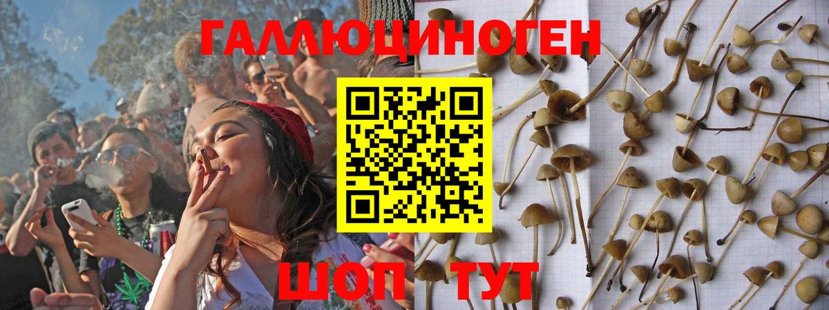 Гуково  Галлюциногенные грибы мицелий  где можно купить наркотик  Вход с VPN  Галлюциногенные грибы мицелий 